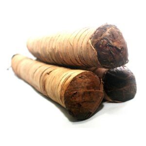 mapacho tabaco nicotiana rustica 2